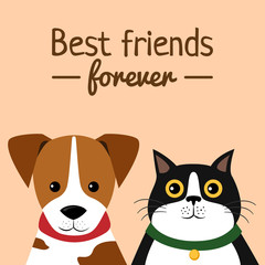 cat and dog characters. best friend forever, vector illustration.