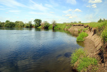Bank Of The River