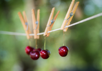 Wall Mural - whimsical image of bing cherries on a clothes line. There is a soft focus green and blue background . The fruit is hanging with a clothes pin. 