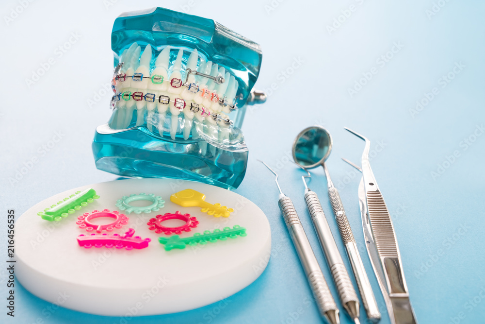 orthodontic model and dentist tool - demonstration teeth model of ...