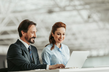 Poster - Satisfied bearded businessman and outgoing lady typing in laptop during job indoor