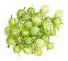 Berries Of Gooseberries On A White Background.