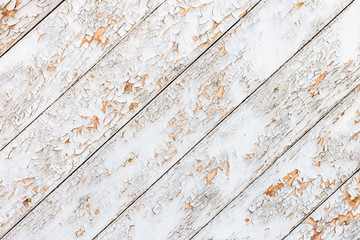 The white wood texture with natural patterns background