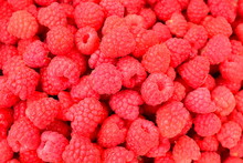 Background Of Red Raspberry Berries. Ripe Raspberries Close-up. The Color Is Red. Macro. 