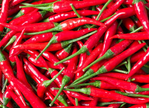 Fotomural bright red bird eye chili food background