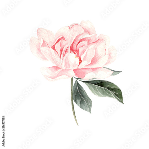 Beautiful Watercolor set with peony.
