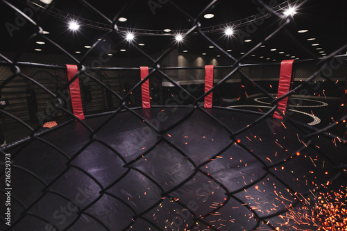 Fotografie, Tablou  mma ring