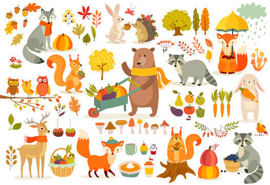 Fototapete - FAll theme set, forest Animals hand drawn style.