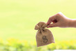 © Monthira - Female hand holding the bag on natural green background, investment and business concept
