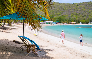 Wall Mural - Idyllic beach at Caribbean