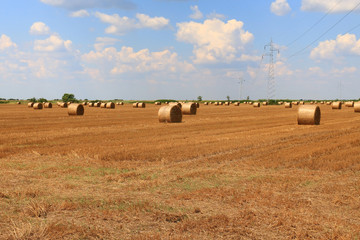 Poster - Hay bale in the countryside