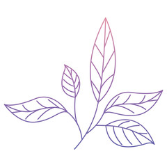 branch with leafs ecology icon vector illustration design