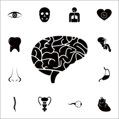 Poster - the human brain icon. detailed set of human parts icons. premium quality graphic design sign. one of