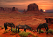 Horses at John Ford's Point Overlook in Monument Valley Tribal Park, Arizona USA