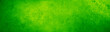 Green textured paper or concrete wall wide banner background