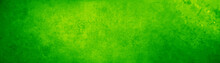 Green Textured Paper Or Concrete Wall Wide Banner Background