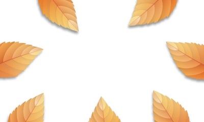 Wall Mural - autumn leaves background. fall leaves frame, overlay, banner