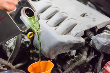 The man pours oil into the gearbox