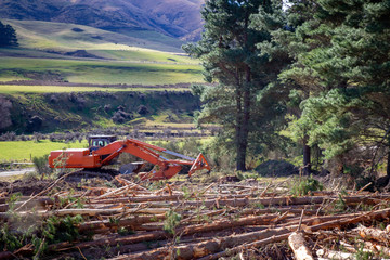 Poster - Heavy logging machinery at a forestry logging site