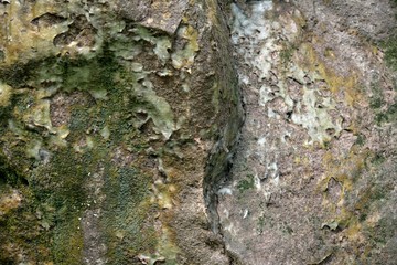 Beautiful moss and lichen covered stone texture and background.