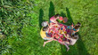 © Iuliia Sokolovska - Happy family having picnic in park, parents with kids sitting on grass and eating healthy meals outdoors, aerial view from above