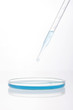 © dohee - schale with spuit on the white background.