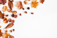 Autumn Composition. Frame Made Of Autumn Dried Leaves On White Background. Flat Lay, Top View, Copy Space