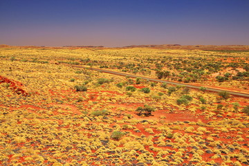 Canvas Print - Australian bush land