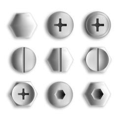 Poster - Set of metal screws and bolts isolated. Vector illustration