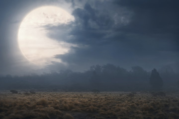 Canvas Print - Field with fog and dark clouds