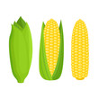 Bright vector collection of colorful yellow corn isolated on white