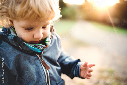 Pinturas sobre lienzo A little toddler boy standing outdoors in nature at sunset