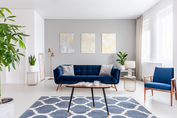 Wall Mural - Real photo of an elegant living room interior with a blue sofa, armchair, coffee table, patterned carpet and paintings on the gray wall