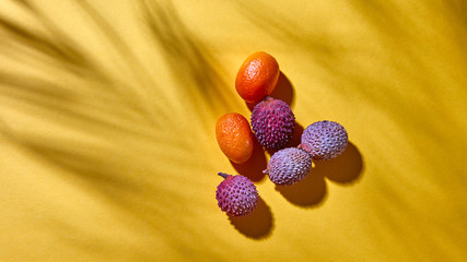 Wall Mural - Top view of tropical litchi and kumquat fruits on a yellow background with shadows.