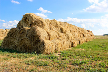 Wall Mural - Bales of meadow hay