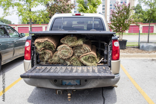 Fotografie, Obraz Close-up of back of pickup truck with bed protector and rolls of sod in the back