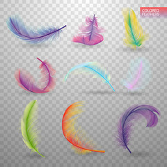 Wall Mural - set of isolated falling colored fluffy twirled feathers on transparent background in realistic style
