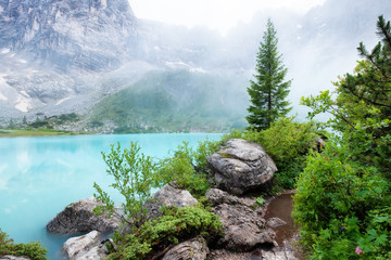 Wall Mural - forest and turquoise lake in the dolomites apls, italy. sorapis lake in the italy. beautiful landsca