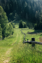 Poster - ground road with grass and wooden fence for fields in country in sunny woods in summer mountains