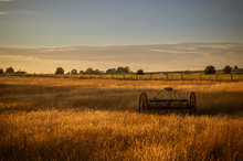 Antique Hay Rake In A Farmers Field At Sunset.