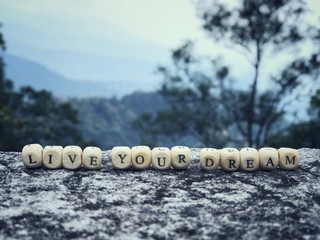 Motivational and inspirational quote - ‘Live your dream’ formed from arranged wooden blocks with letter written on them.