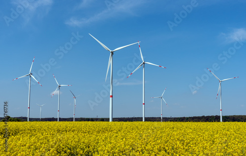 turbiny-elektrowni-wiatrowej-na-polach-rzepaku