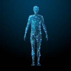 human body low poly wireframe. vector polygonal image in the form of a starry sky or space, consisti