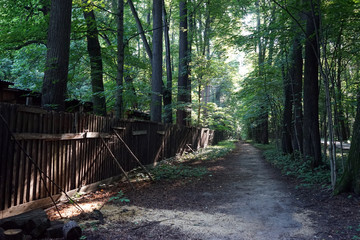 Footpath in park