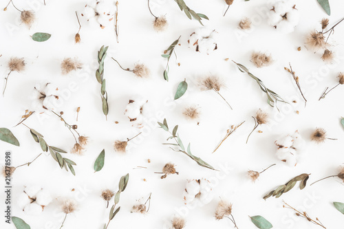 Autumn composition. Pattern made of eucalyptus branches, dried flowers on whi...
