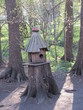© HelenkaNNN - 41/5000 Kormushka dlya ptits ili belok v parke, leto Bird feeder or squirrel in the park, summer