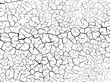 The cracks texture white and black. Vector background.Cracked earth. Structure of cracking. Cracks in dry surface soil texture.