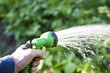 Watering the Garden. Hand holding water sprinkler watering the garden