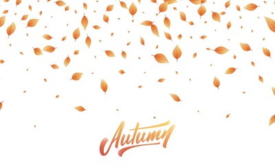 Wall Mural - autumn leaves background. fall leaves frame, overlay, banner design