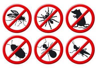 No vermin sign vector illustration